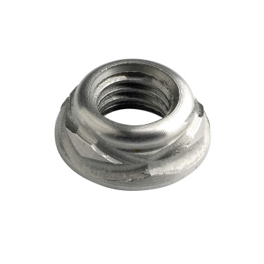 Scroll  Nuts  Stainless  Steel  [Grade  303  S31]